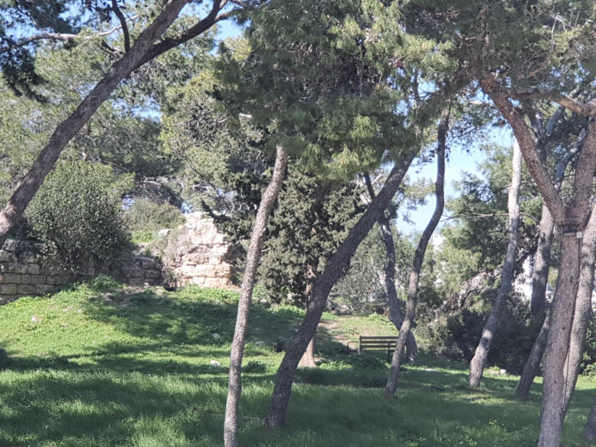 Marom Residence Romema ハイファ エクステリア 写真